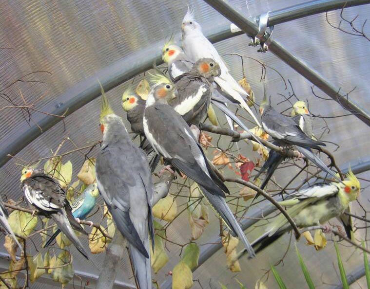 FarmTek Hydroponic Fodder Systems, Farming & Growing Supplies, Hoop