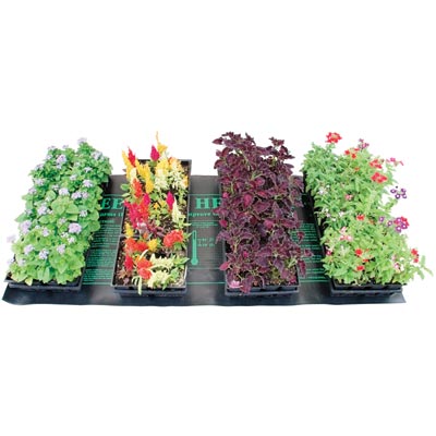 Seed-Starting Supplies, Pots, Trays, Seed Germination, Garden Planting