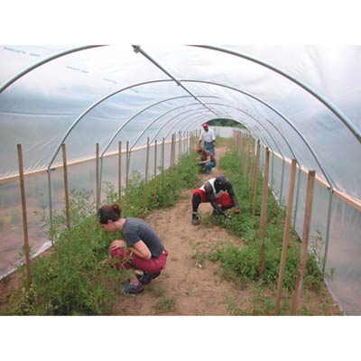 FarmTek - Hydroponic Fodder Systems, Farming & Growing Supplies 