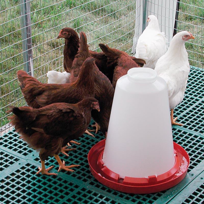 Poultry & Game Bird Fountain 4 Gallons FarmTek