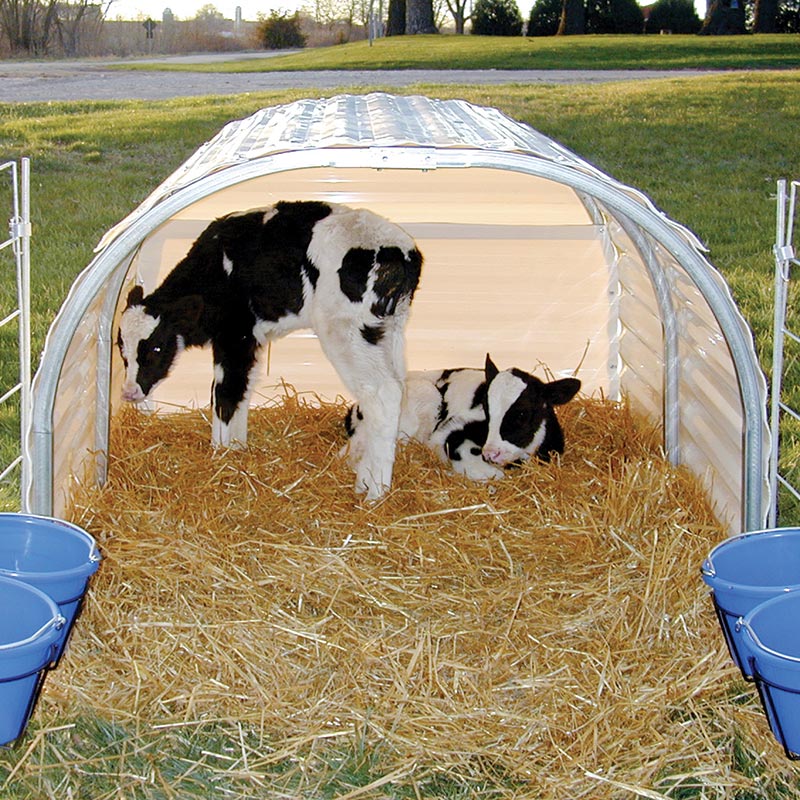 Small Animal Hut 4'6"W x 4'H x 6'1"L FarmTek