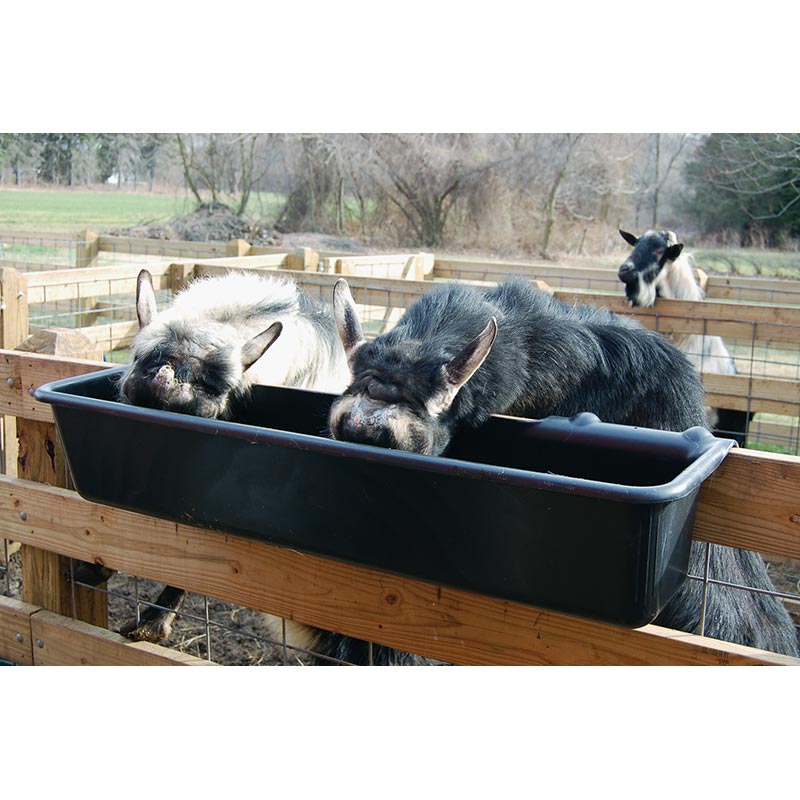 52 Quart HookOver Feed Trough FarmTek