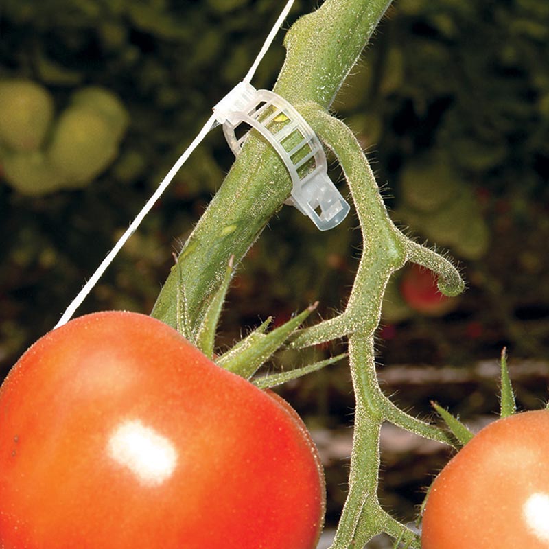 Standard Tomato Clips Box of 1,000 FarmTek