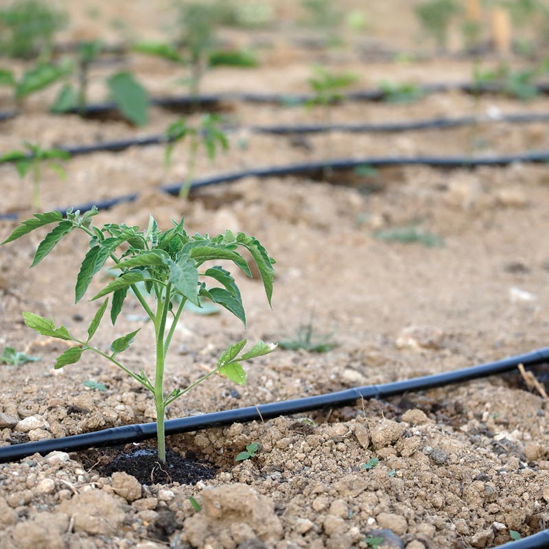 Drip Tape Kit FarmTek