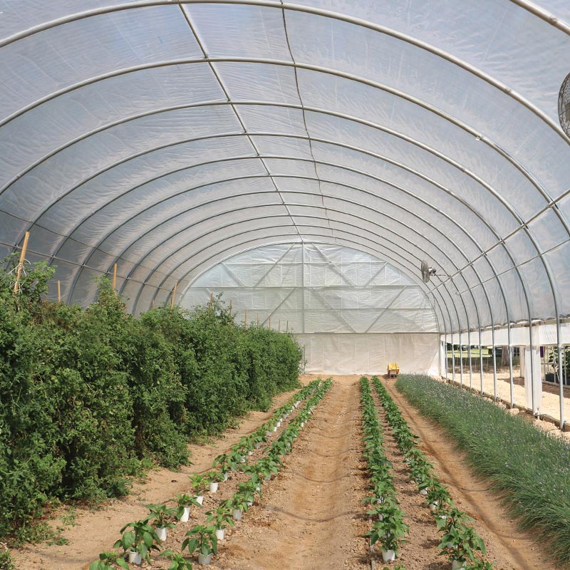 GrowSpan Series 500 Tall High Tunnel 35'W x 48'L 6 mil 4 Year w/Roll