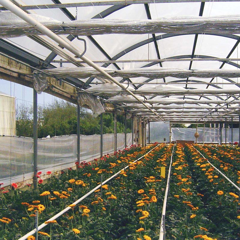 GrowSpan Series 1000 Commercial Greenhouse 42